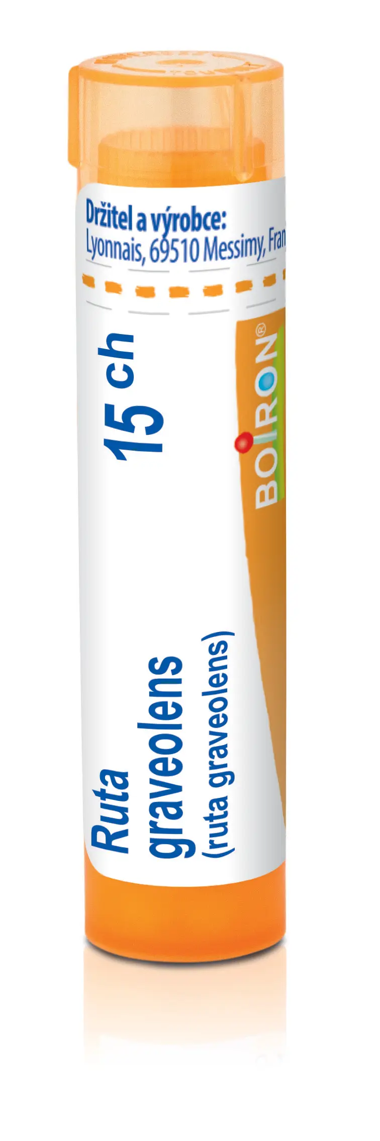 3683_RUTA GRAVEOLENS 15